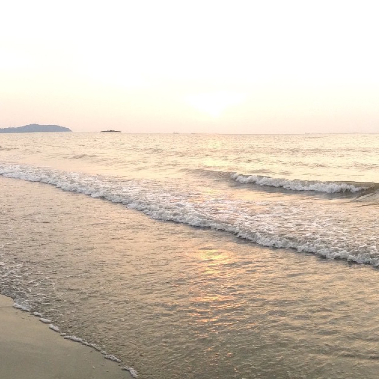 A more sustainable world